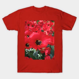 Tulip Time in Canberra Australia 4 T-Shirt